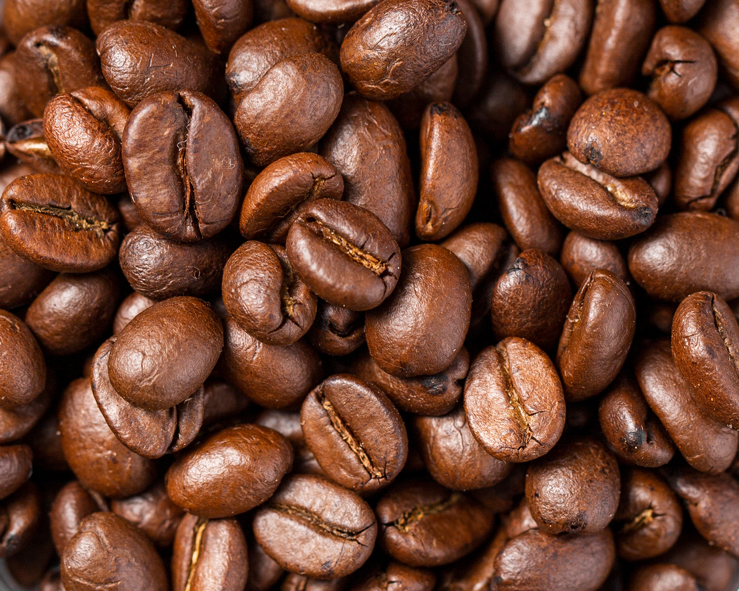 �뺸 Ÿ�ڸ�� �׻�