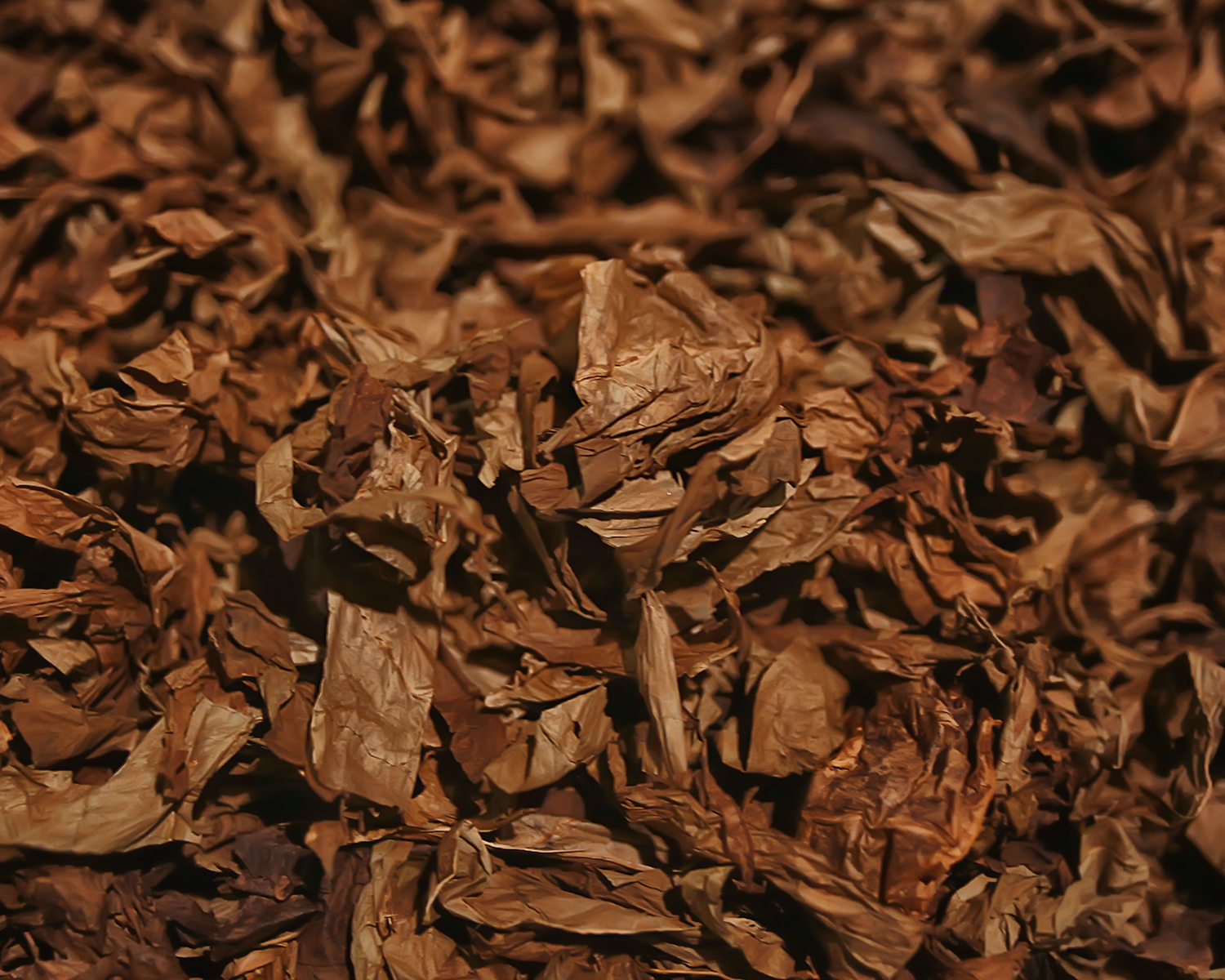 �뺸 ����Ʈ �׻�