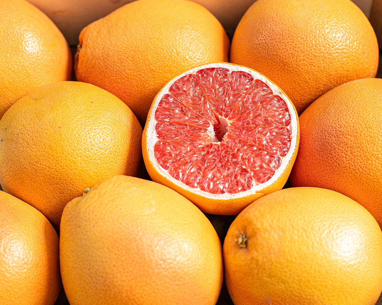 �ڸ��� ���� �׻�